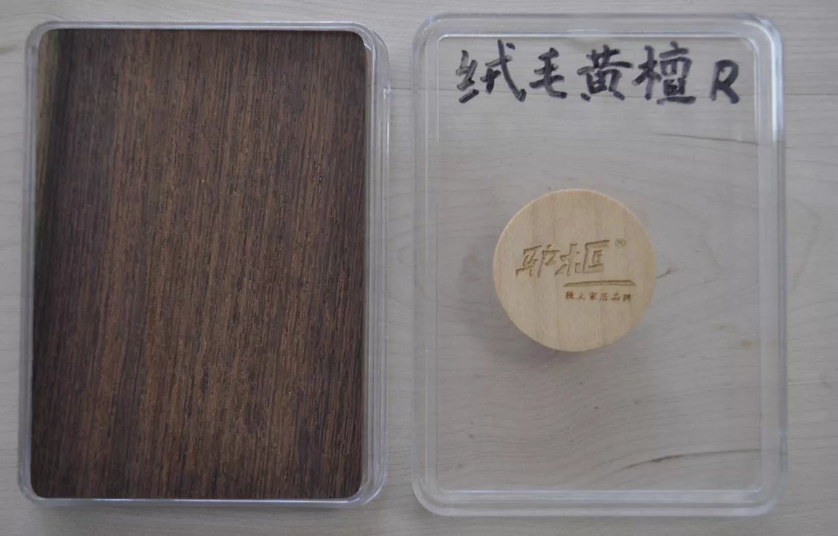 19绒毛黄檀.jpg