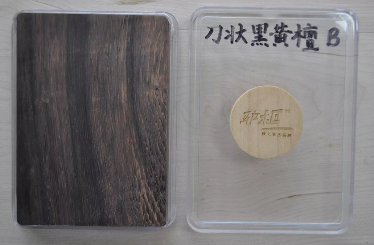 21中美洲黄檀.jpg