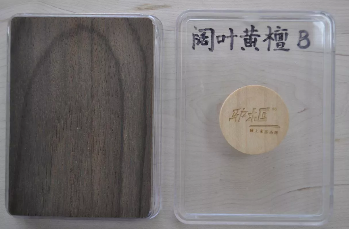 14阔叶黄檀.jpg