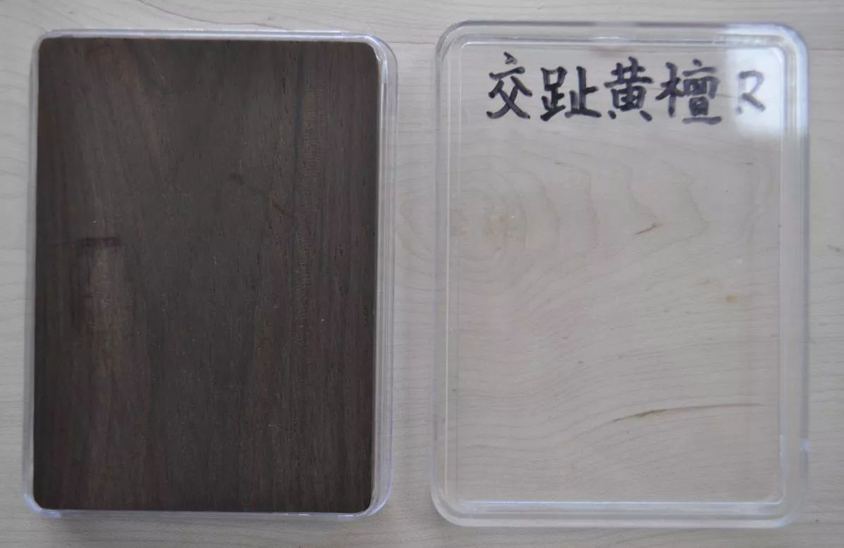15交趾黄檀.jpg