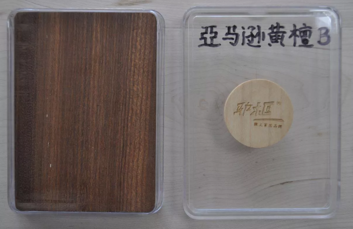 25亚马逊黄檀.jpg