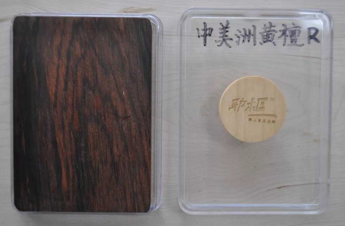 26中美洲黄檀.jpg