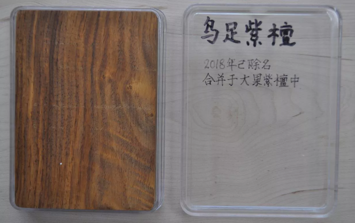 12鸟足紫檀.jpg