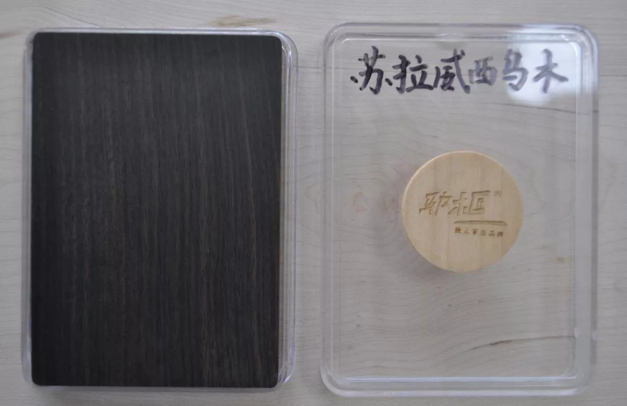 1苏拉威西乌木.jpg