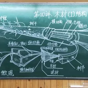 兴杰书院|柳老师的木工课堂
